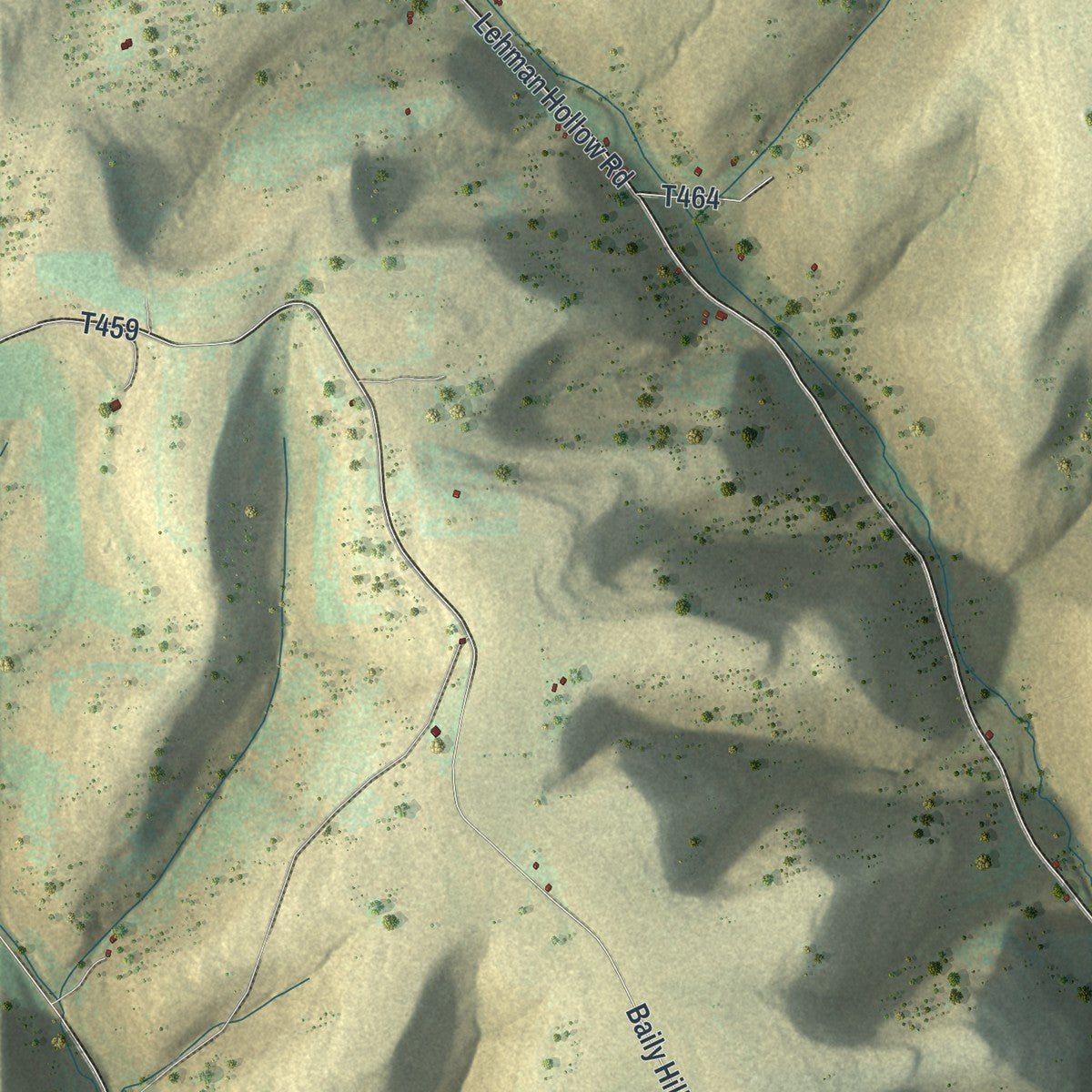 Second close-up of the map of Hector, Pennsylvania print showing more streets and buildings