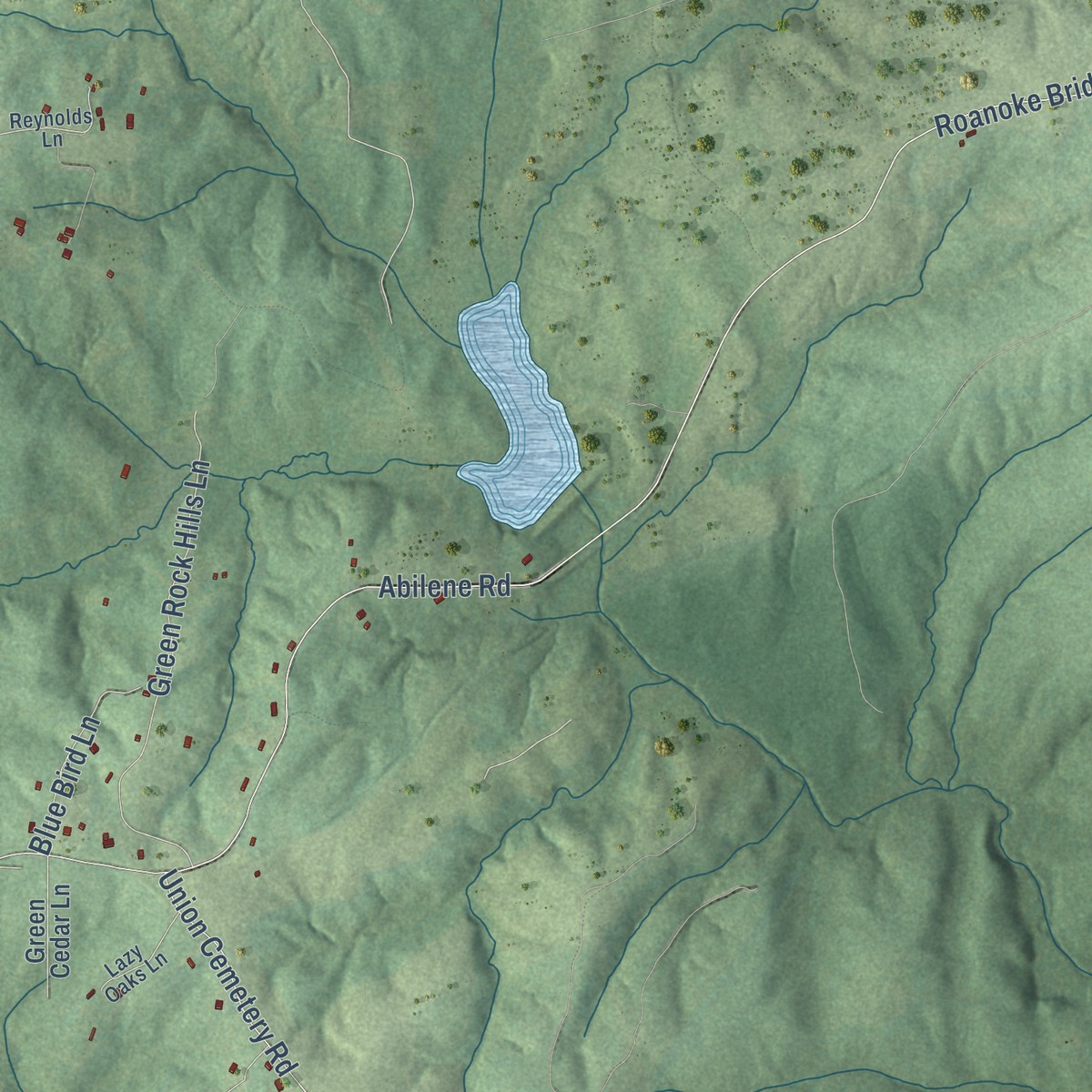 Second close-up of the map of Henry, Charlotte County, Virginia print showing more streets and buildings