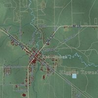 Second close-up of the map of Higgins, Michigan print showing more streets and buildings