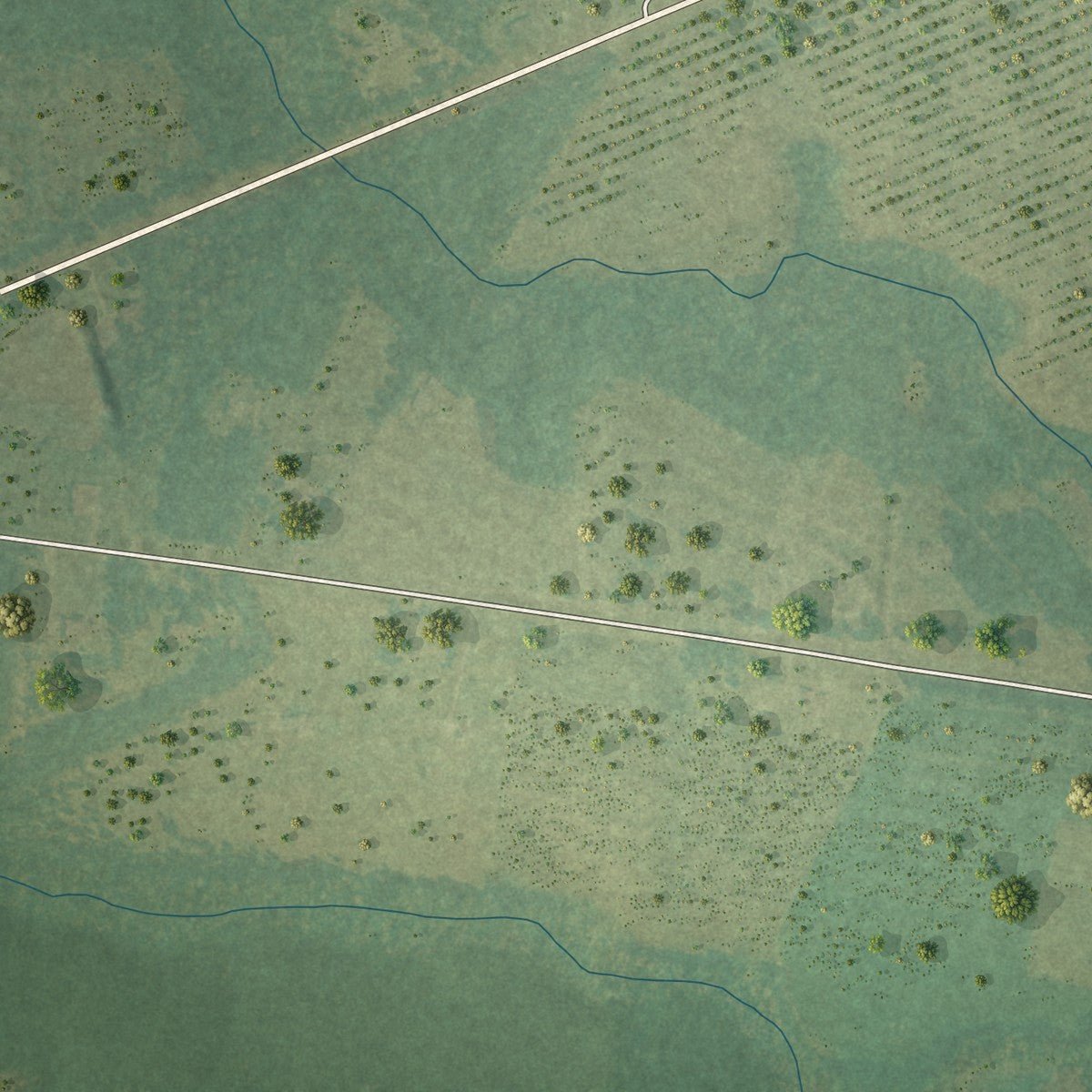 Second close-up of the map of Higgston, Georgia print showing more streets and buildings
