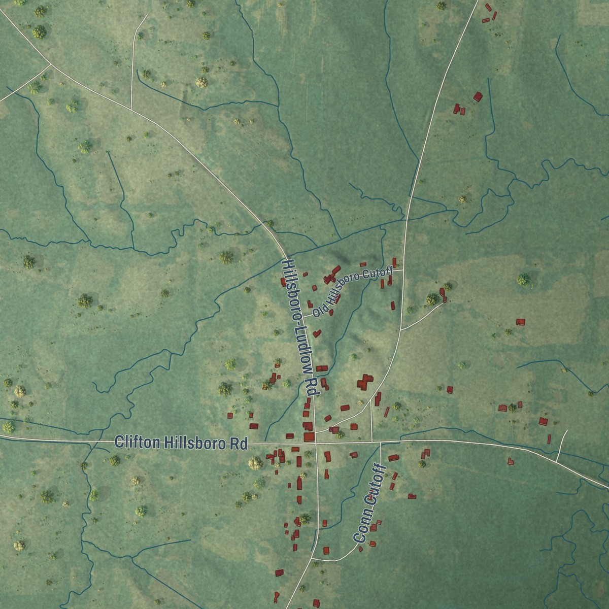 Second close-up of the map of Hillsboro, Mississippi print showing more streets and buildings