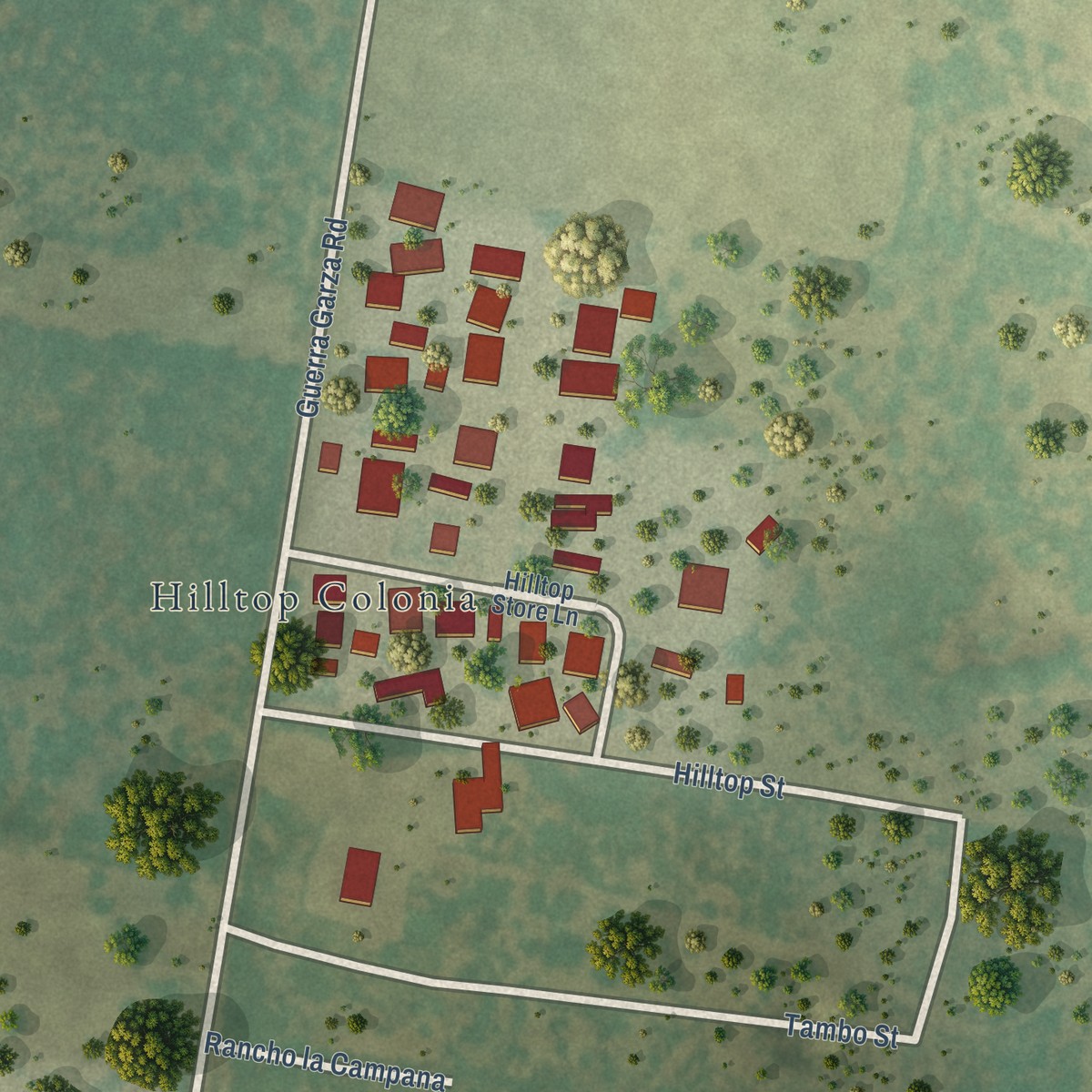 Second close-up of the map of Hilltop, Starr County, Texas print showing more streets and buildings