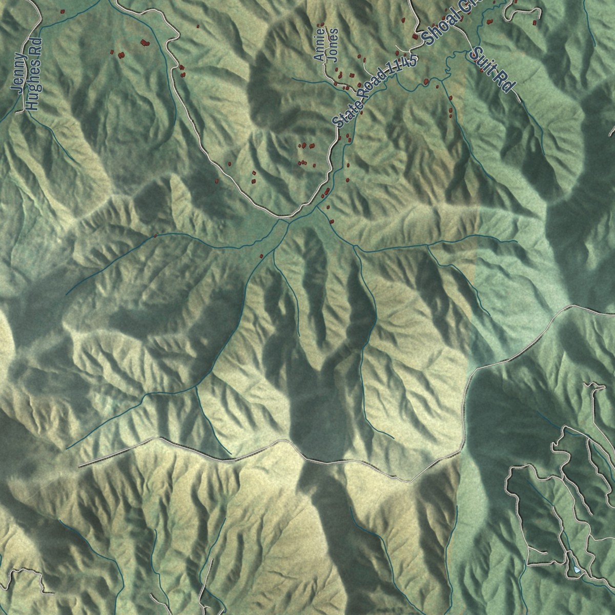 Second close-up of the map of Hiwassee, North Carolina print showing more streets and buildings