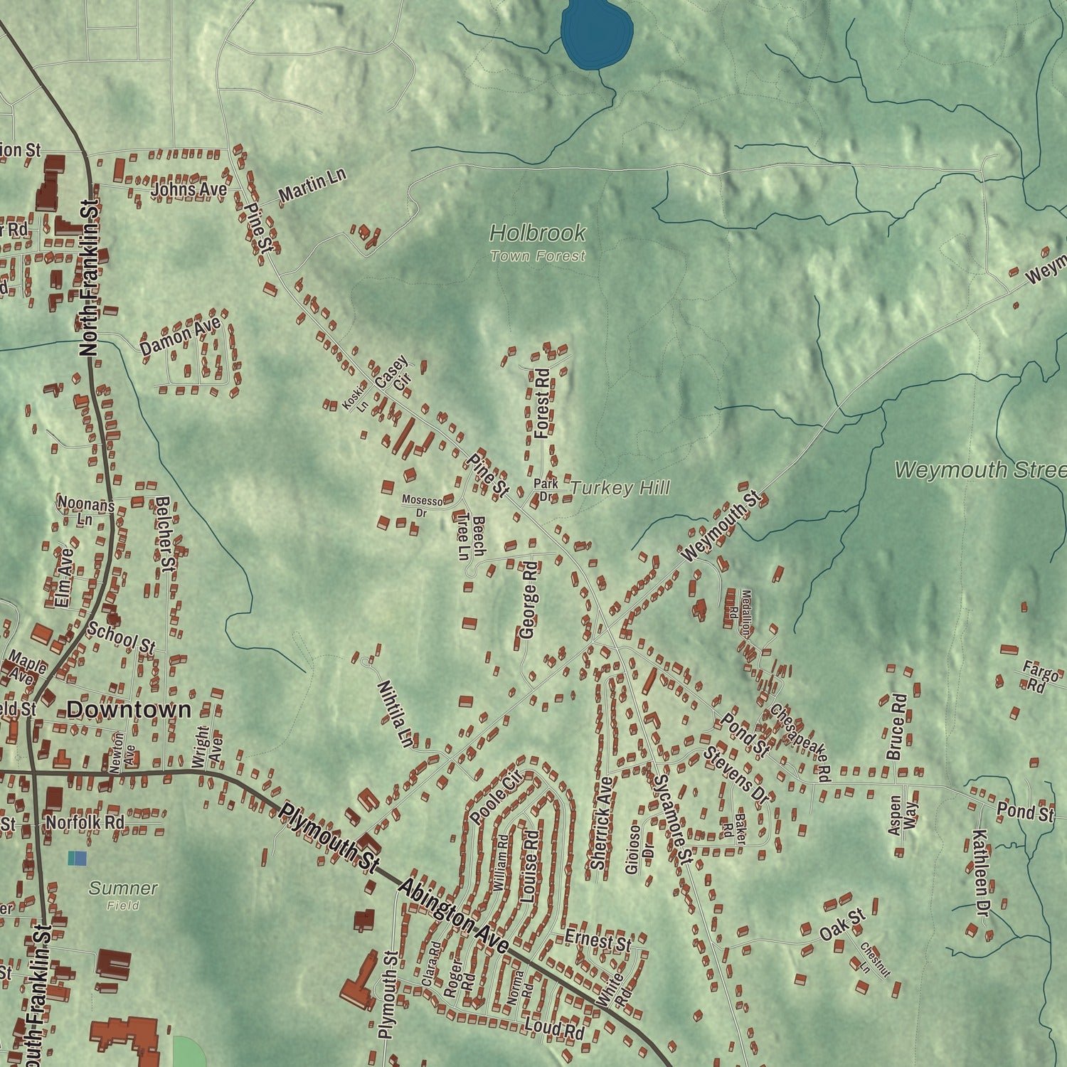 Close-up of the map of Holbrook, Massachusetts print showing terrain and local geography