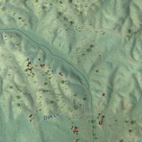 Second close-up of the map of Hollins, Alabama print showing more streets and buildings