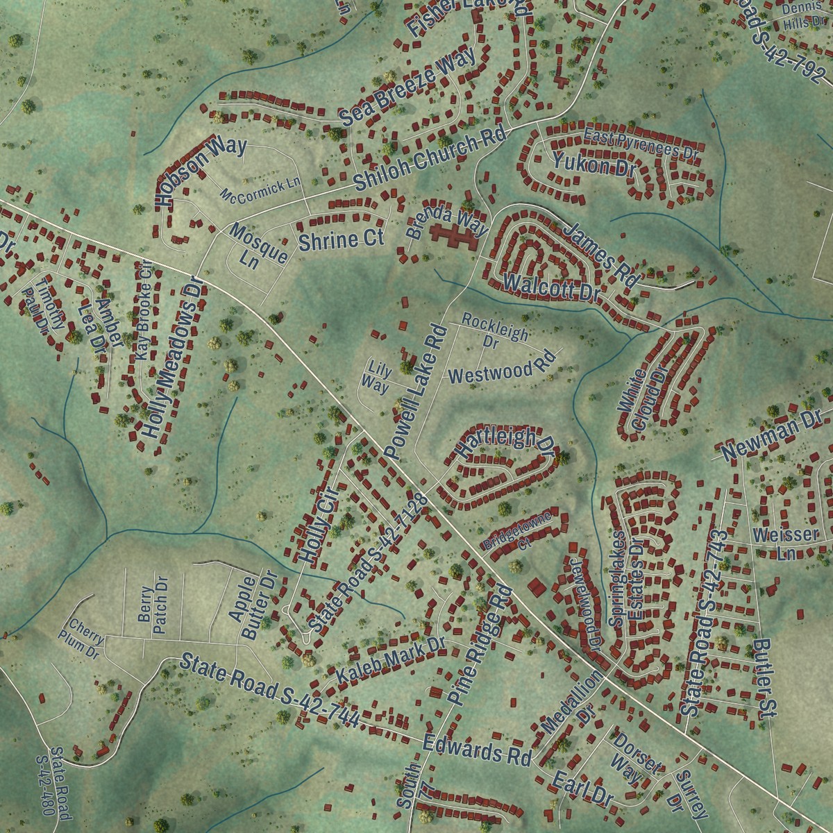 Second close-up of the map of Holly Springs, South Carolina print showing more streets and buildings