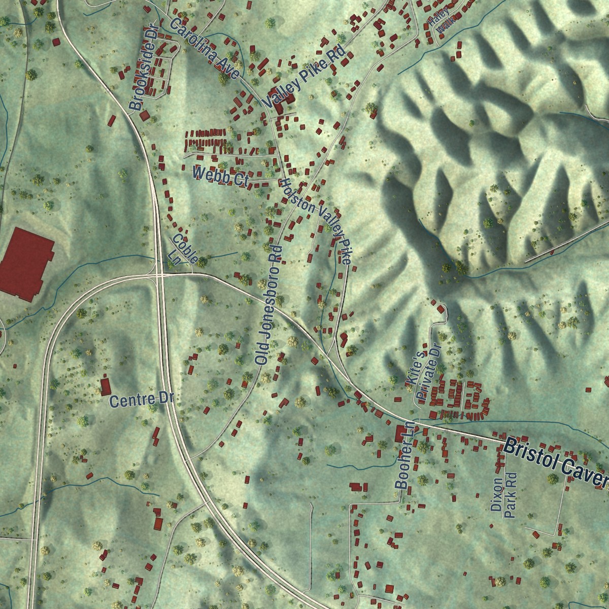 Second close-up of the map of Holston View, Tennessee print showing more streets and buildings