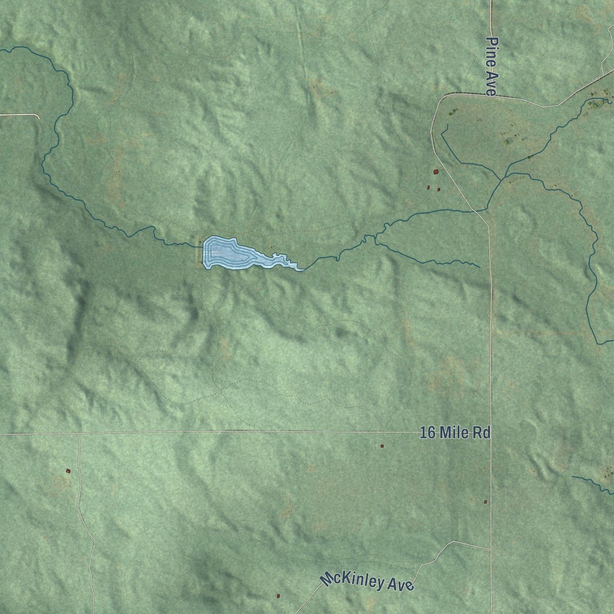 Second close-up of the map of Home, Newaygo County, Michigan print showing more streets and buildings