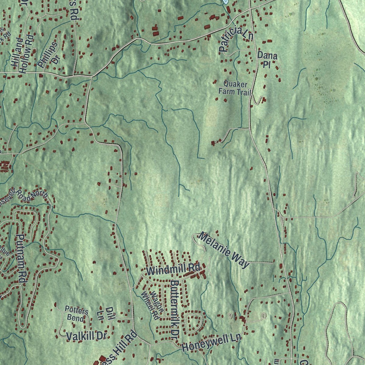 Second close-up of the map of Hyde Park, New York print showing more streets and buildings