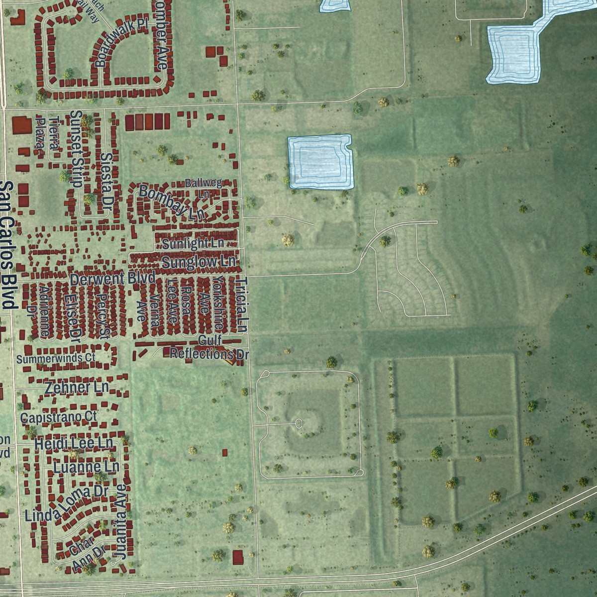Second close-up of the map of Iona, Florida print showing more streets and buildings