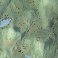 Second close-up of the map of Jackson, Susquehanna County, Pennsylvania print showing more streets and buildings