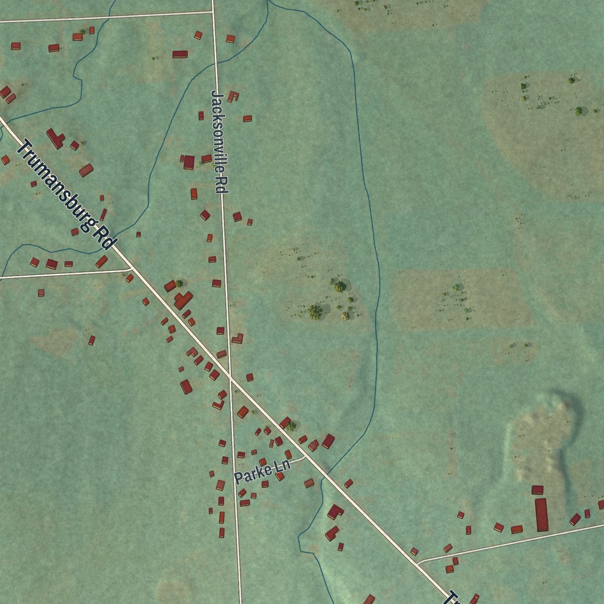 Second close-up of the map of Jacksonville, New York print showing more streets and buildings
