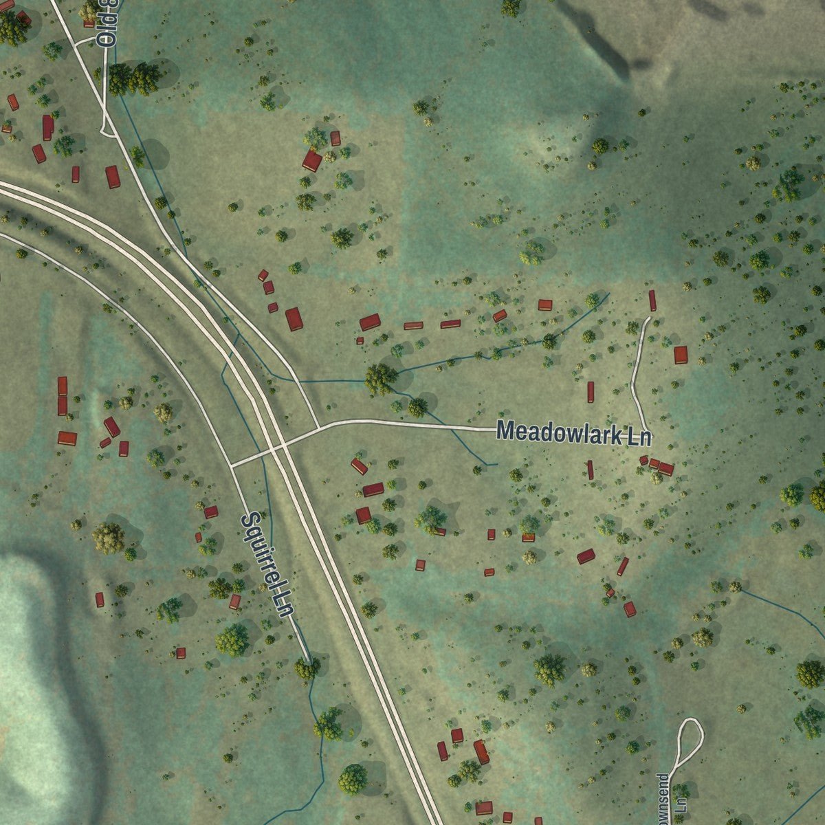 Second close-up of the map of Jane, Missouri print showing more streets and buildings