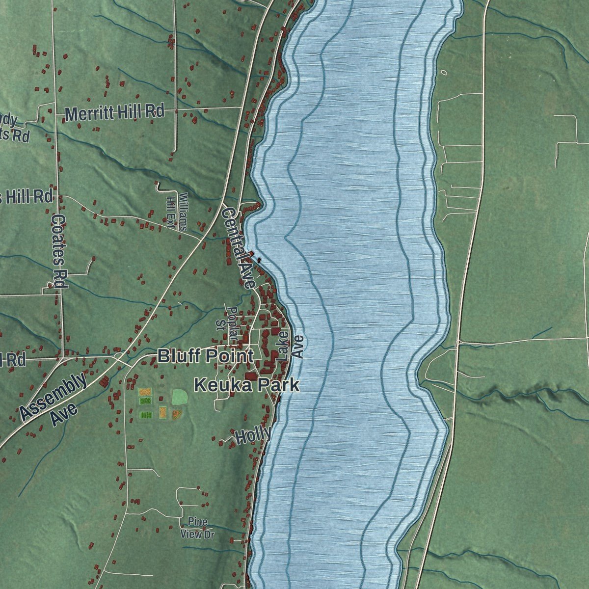 Second close-up of the map of Jerusalem, New York print showing more streets and buildings