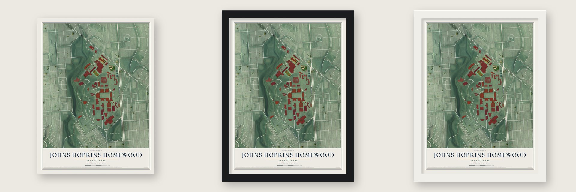 Johns Hopkins Homewood, Maryland map unframed, in a black wood frame and in a white wood frame