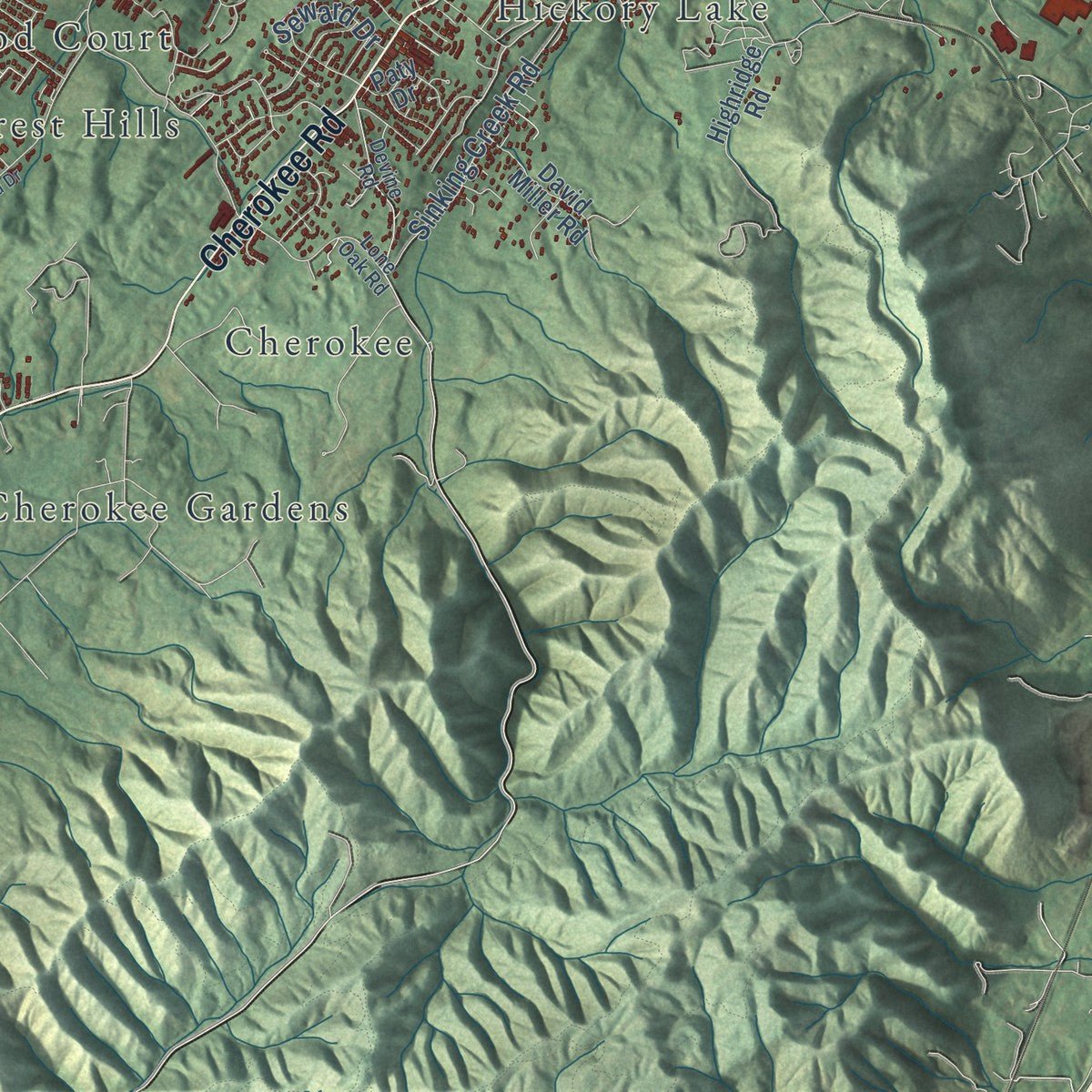 Second close-up of the map of Johnson City, Tennessee print showing more streets and buildings