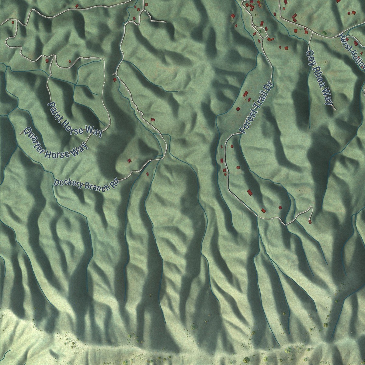 Second close-up of the map of Jones Cove, Tennessee print showing more streets and buildings