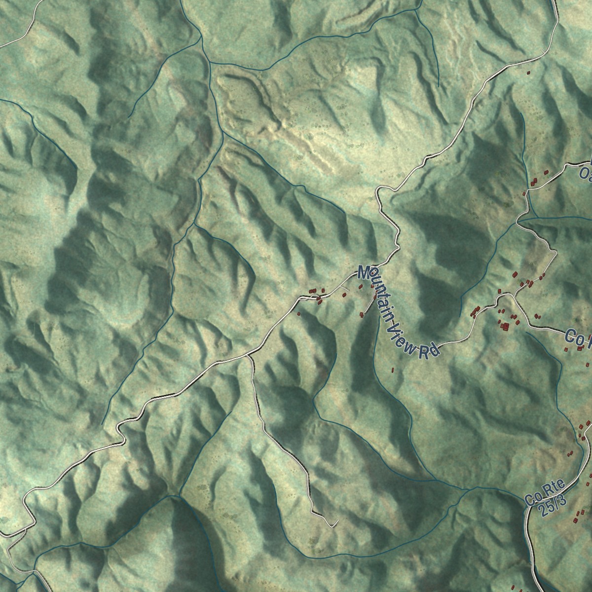 Second close-up of the map of Jumping Branch, West Virginia print showing more streets and buildings
