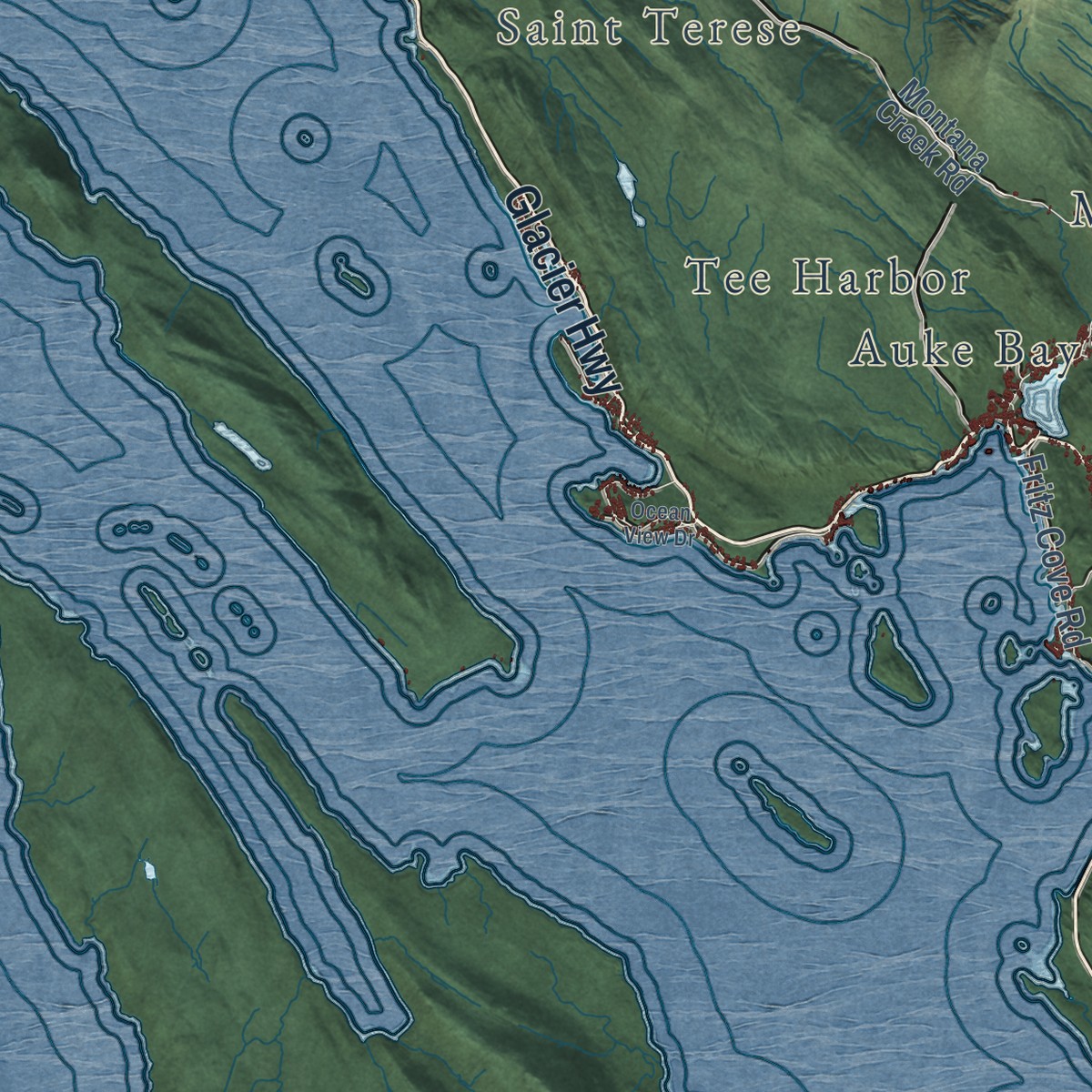 Second close-up of the map of Juneau, Alaska print showing more streets and buildings