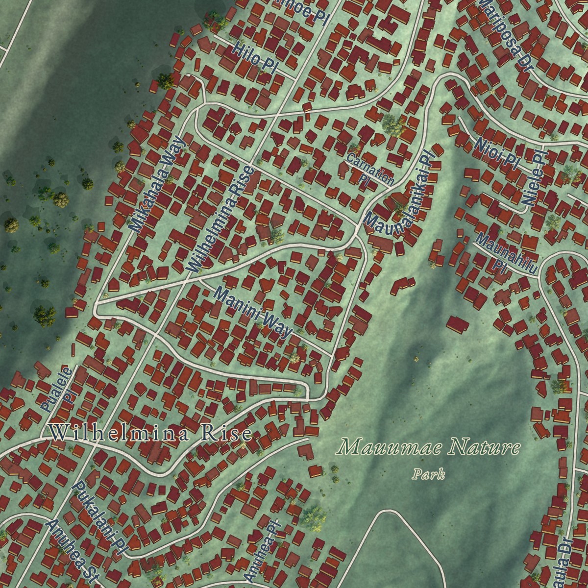Second close-up of the map of Kaimuki, Hawaii print showing more streets and buildings