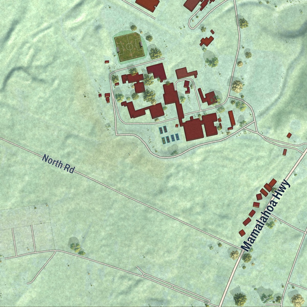 Second close-up of the map of Keaau, Hawaii print showing more streets and buildings