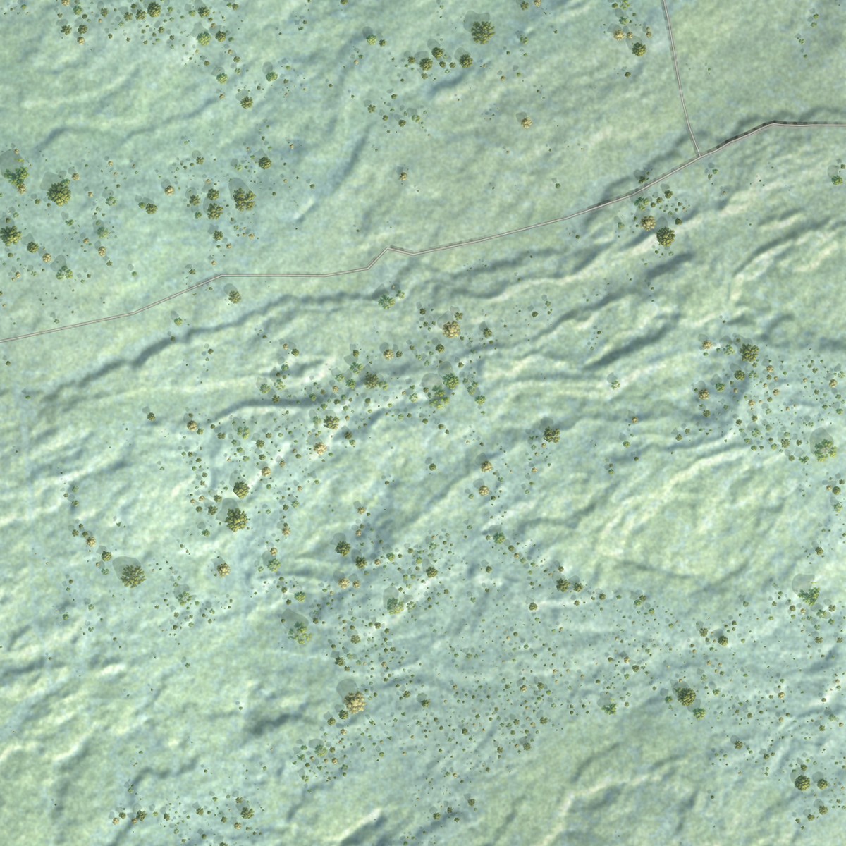 Second close-up of the map of Kealakekua, Hawaii print showing more streets and buildings