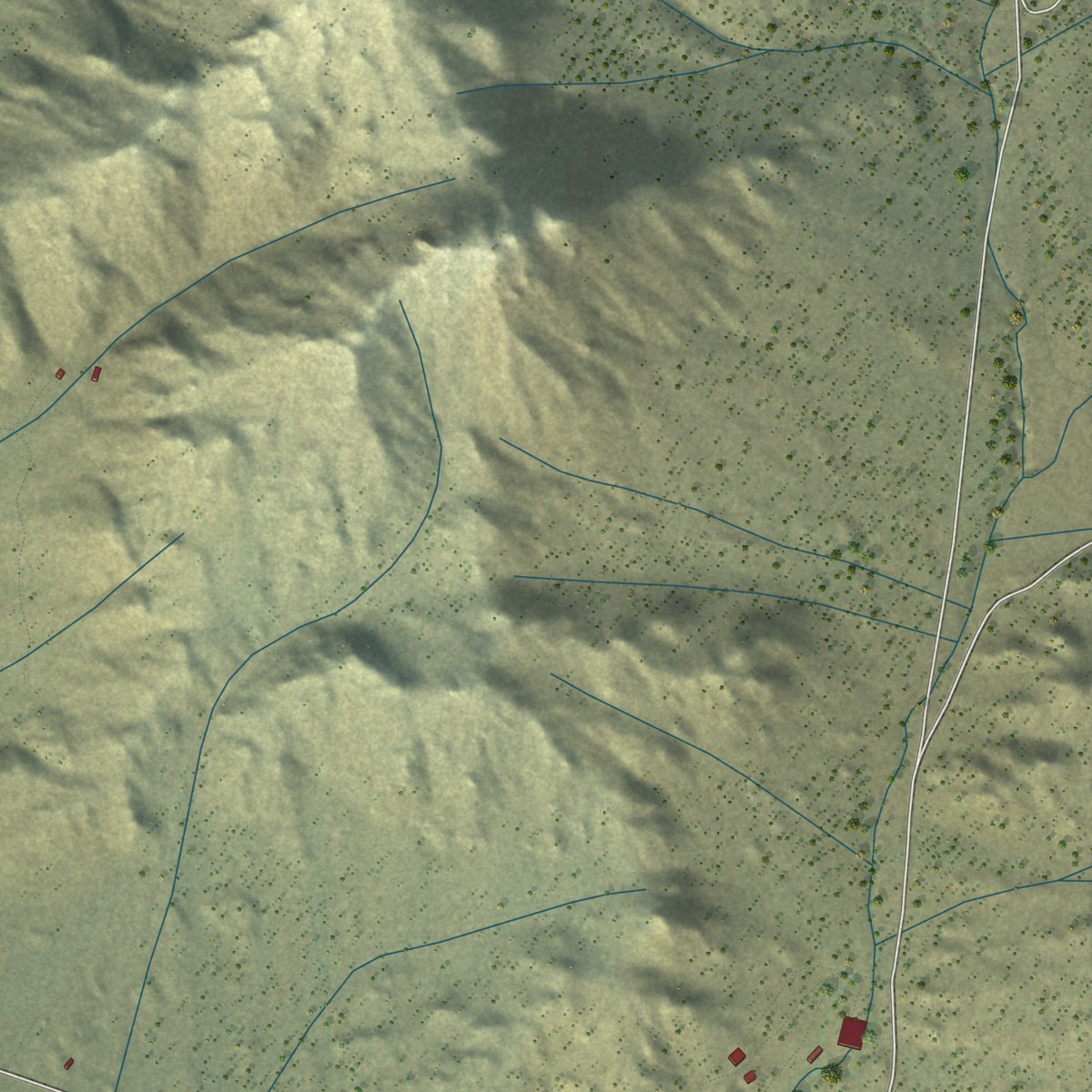 Second close-up of the map of Kennedy Meadows, California print showing more streets and buildings