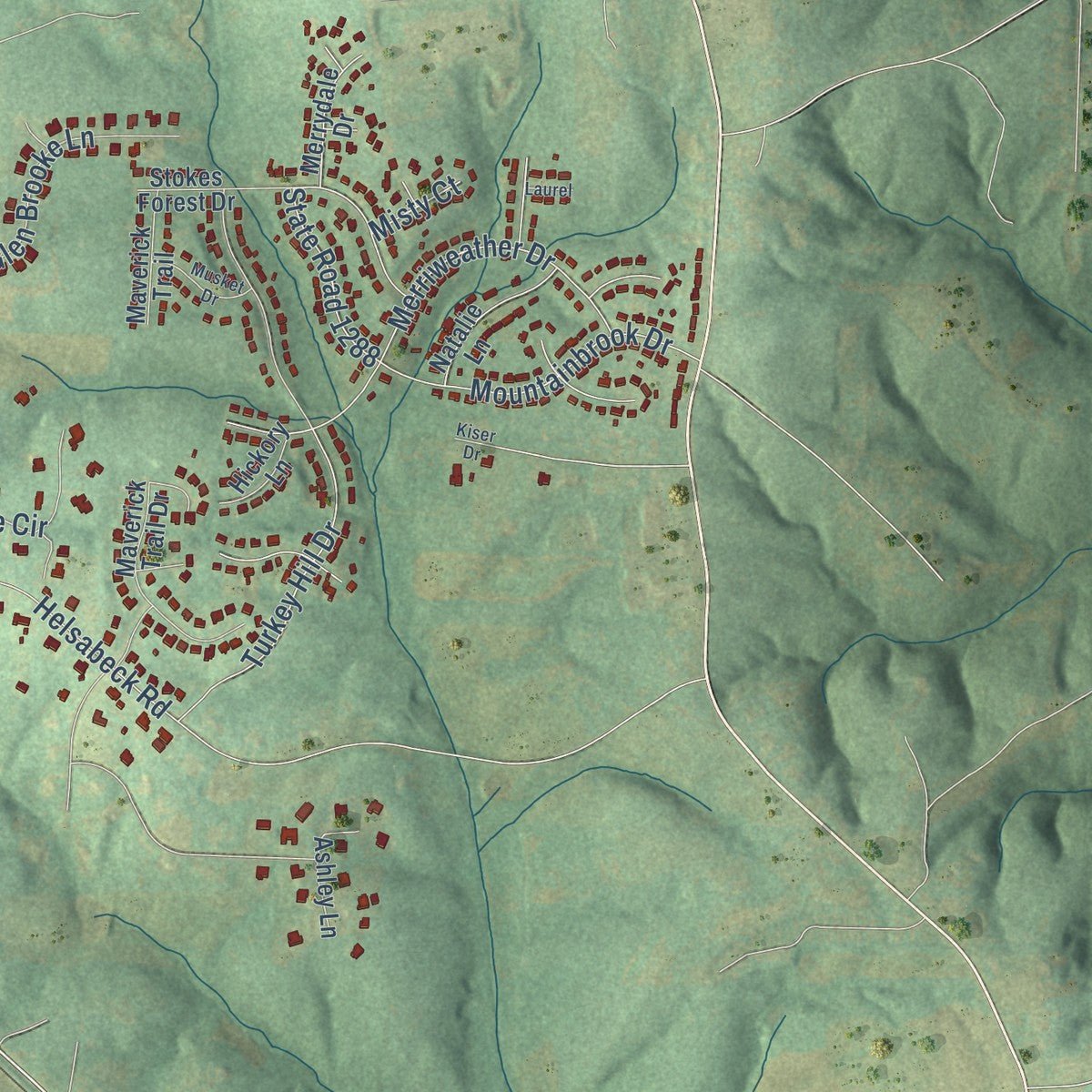Second close-up of the map of King, North Carolina print showing more streets and buildings