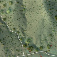 Second close-up of the map of Kingston, New Mexico print showing more streets and buildings