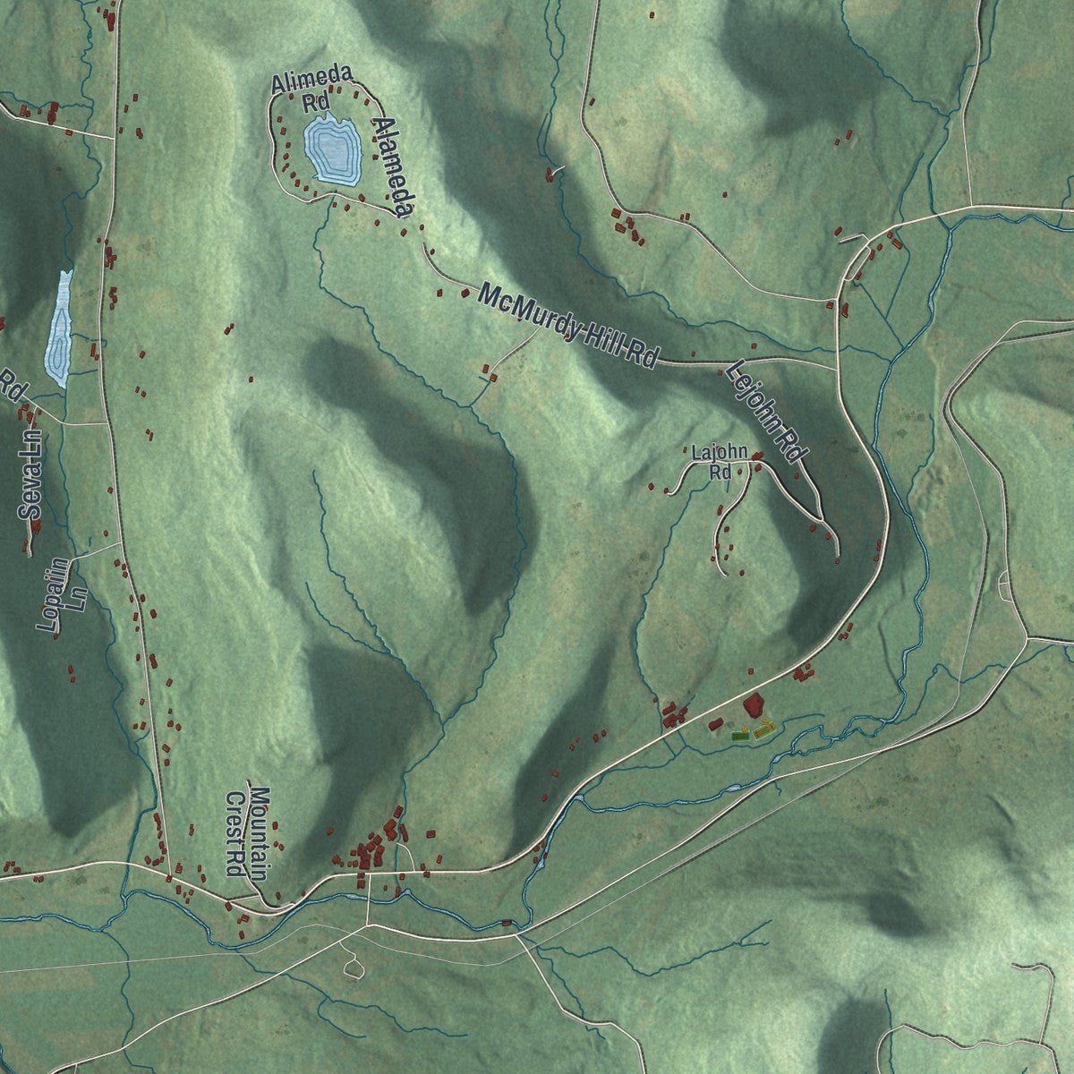 Second close-up of the map of Kortright, New York print showing more streets and buildings