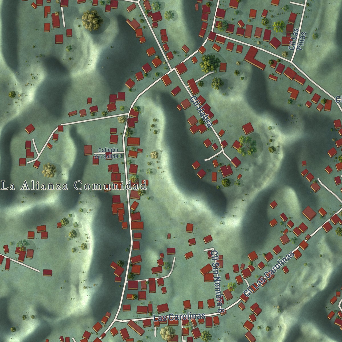 Second close-up of the map of La Alianza, Puerto Rico print showing more streets and buildings