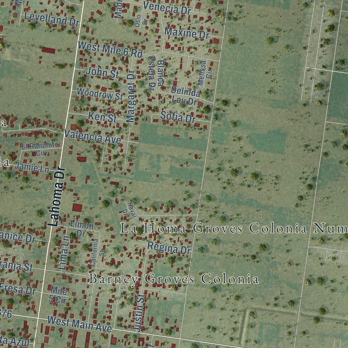 Second close-up of the map of La Homa, Texas print showing more streets and buildings