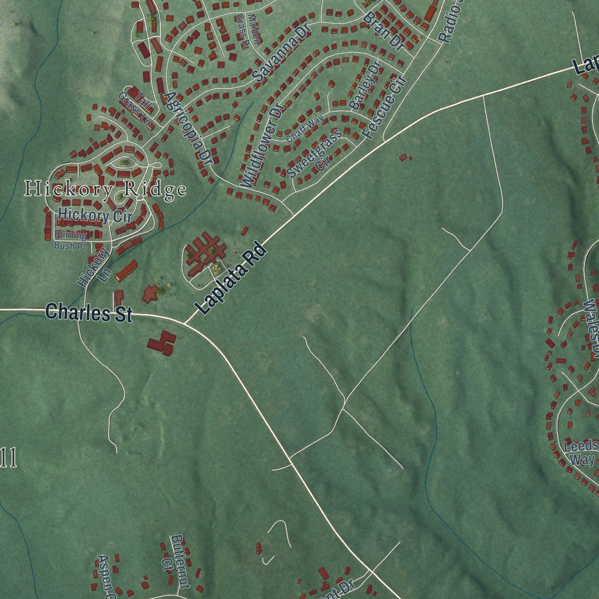 Second close-up of the map of La Plata, Maryland print showing more streets and buildings