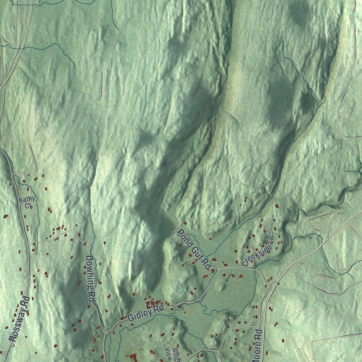 Second close-up of the map of LaGrange, New York print showing more streets and buildings