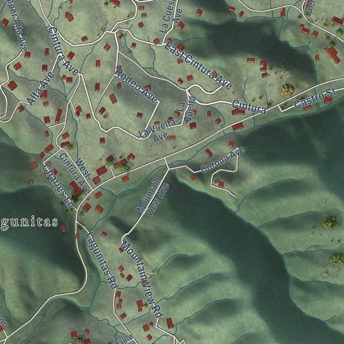 Second close-up of the map of Lagunitas-Forest Knolls, California print showing more streets and buildings
