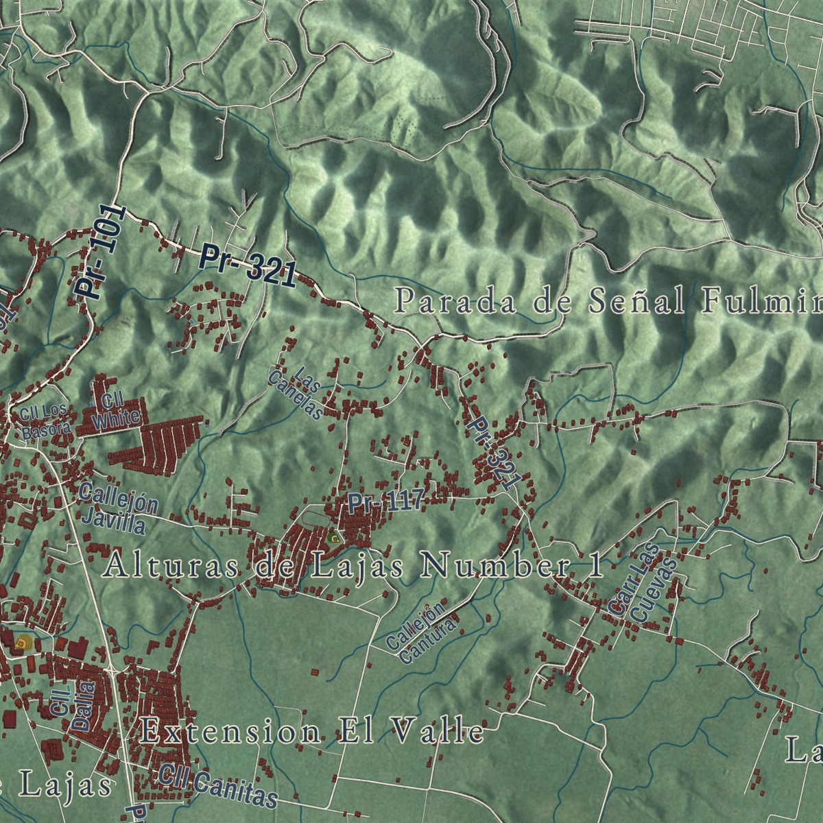 Second close-up of the map of Lajas, Puerto Rico print showing more streets and buildings