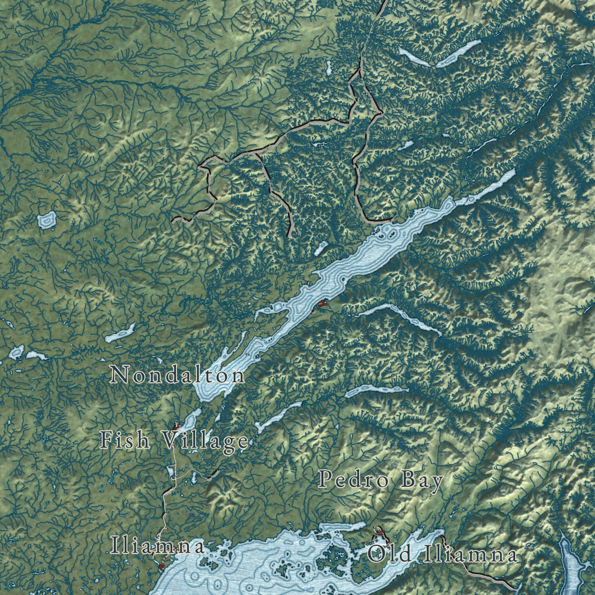 Second close-up of the map of Lake and Peninsula, Alaska print showing more streets and buildings
