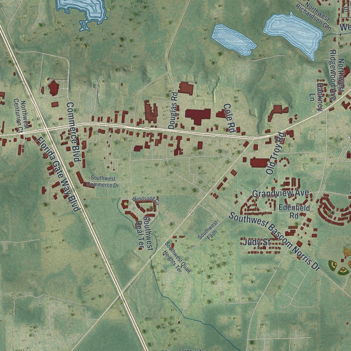 Second close-up of the map of Lake City, Florida print showing more streets and buildings