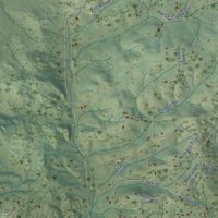Second close-up of the map of Lake George, Colorado print showing more streets and buildings