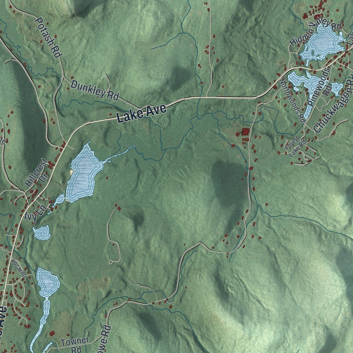 Second close-up of the map of Lake Luzerne, New York print showing more streets and buildings