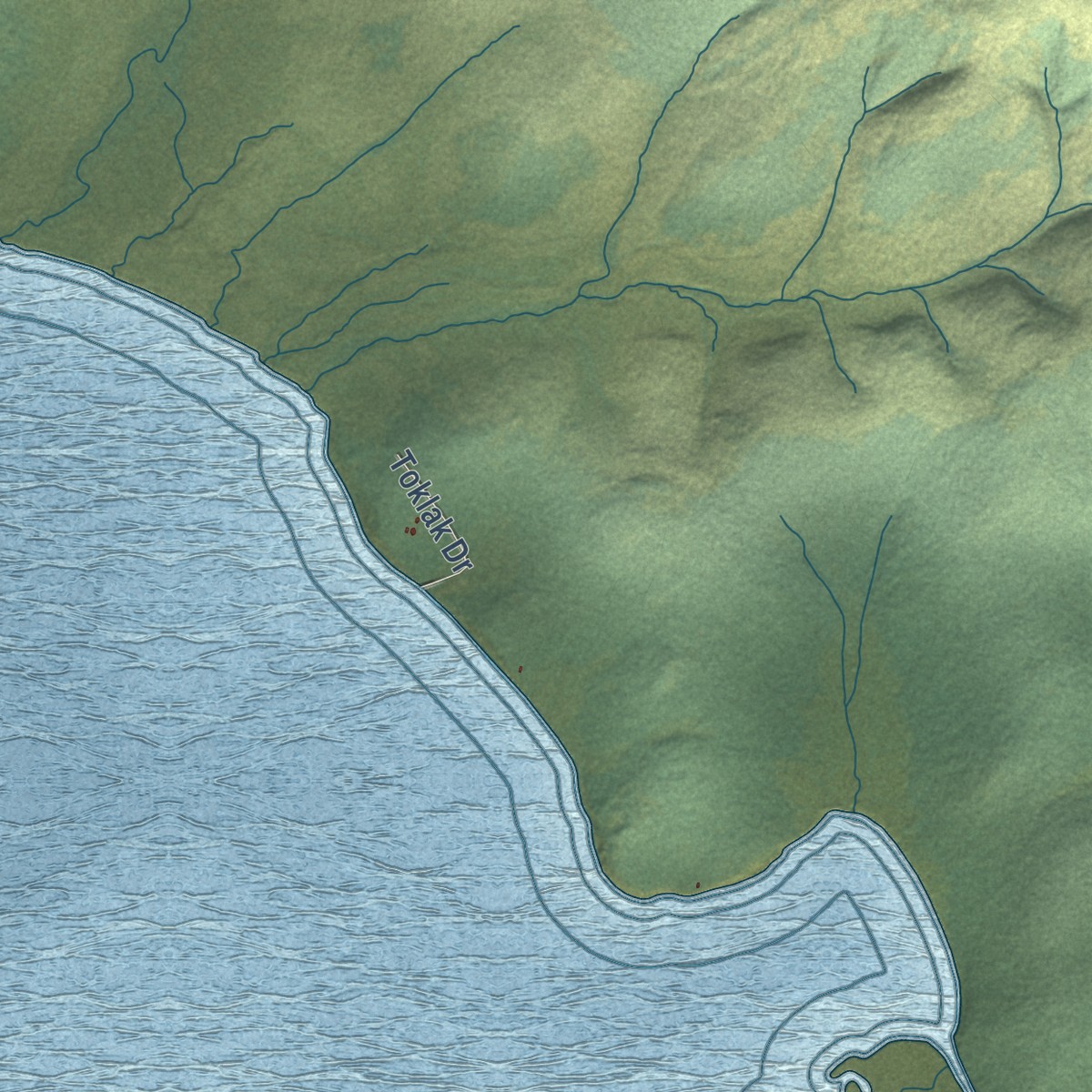Second close-up of the map of Lake Minchumina, Alaska print showing more streets and buildings