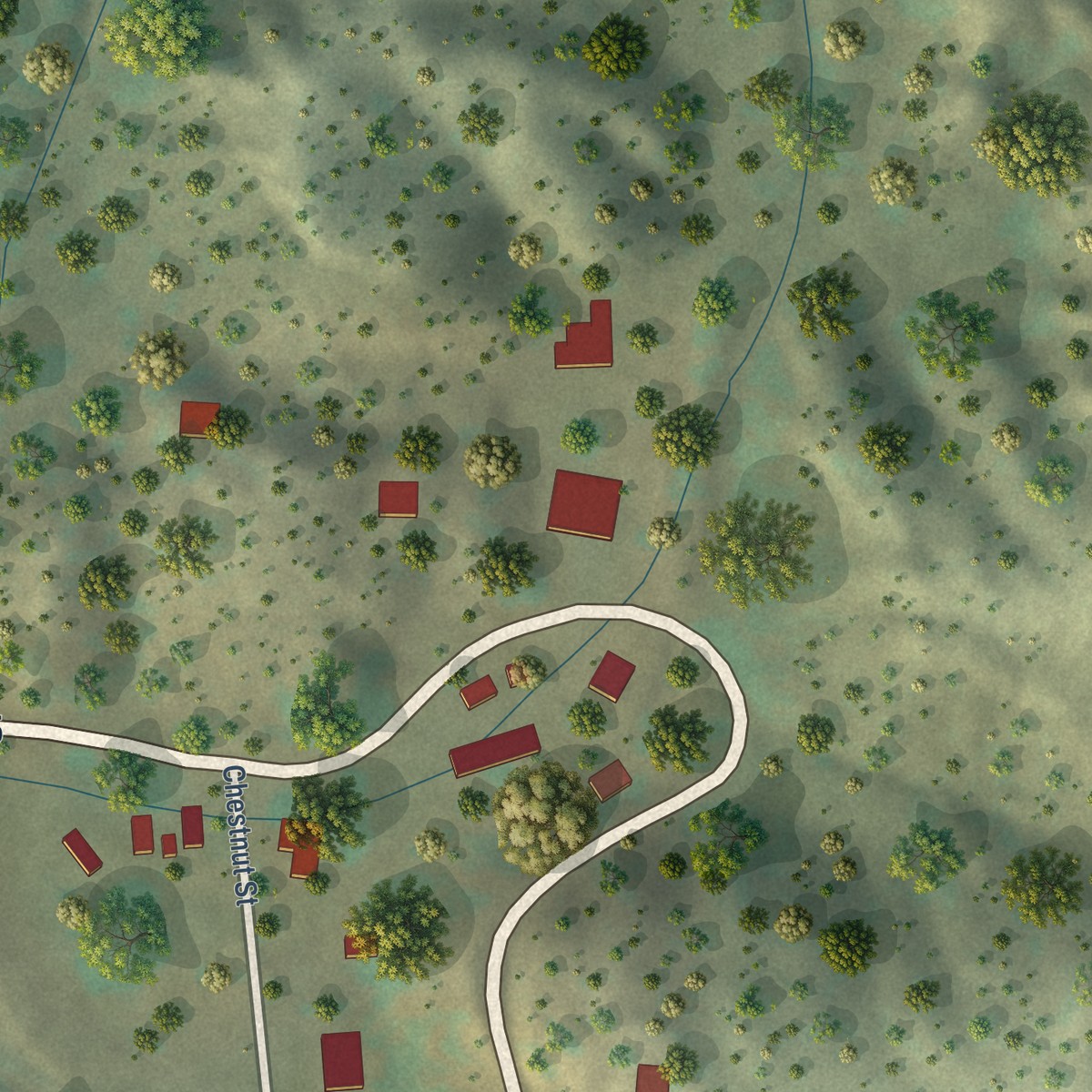 Second close-up of the map of Lake Roberts, New Mexico print showing more streets and buildings