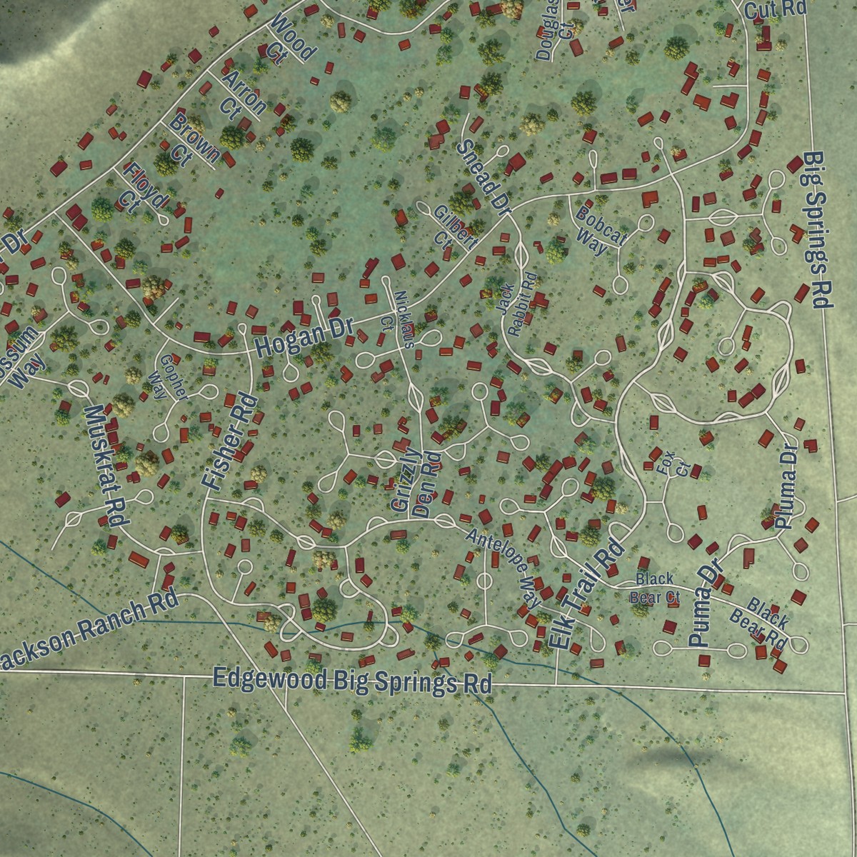 Second close-up of the map of Lake Shastina, California print showing more streets and buildings