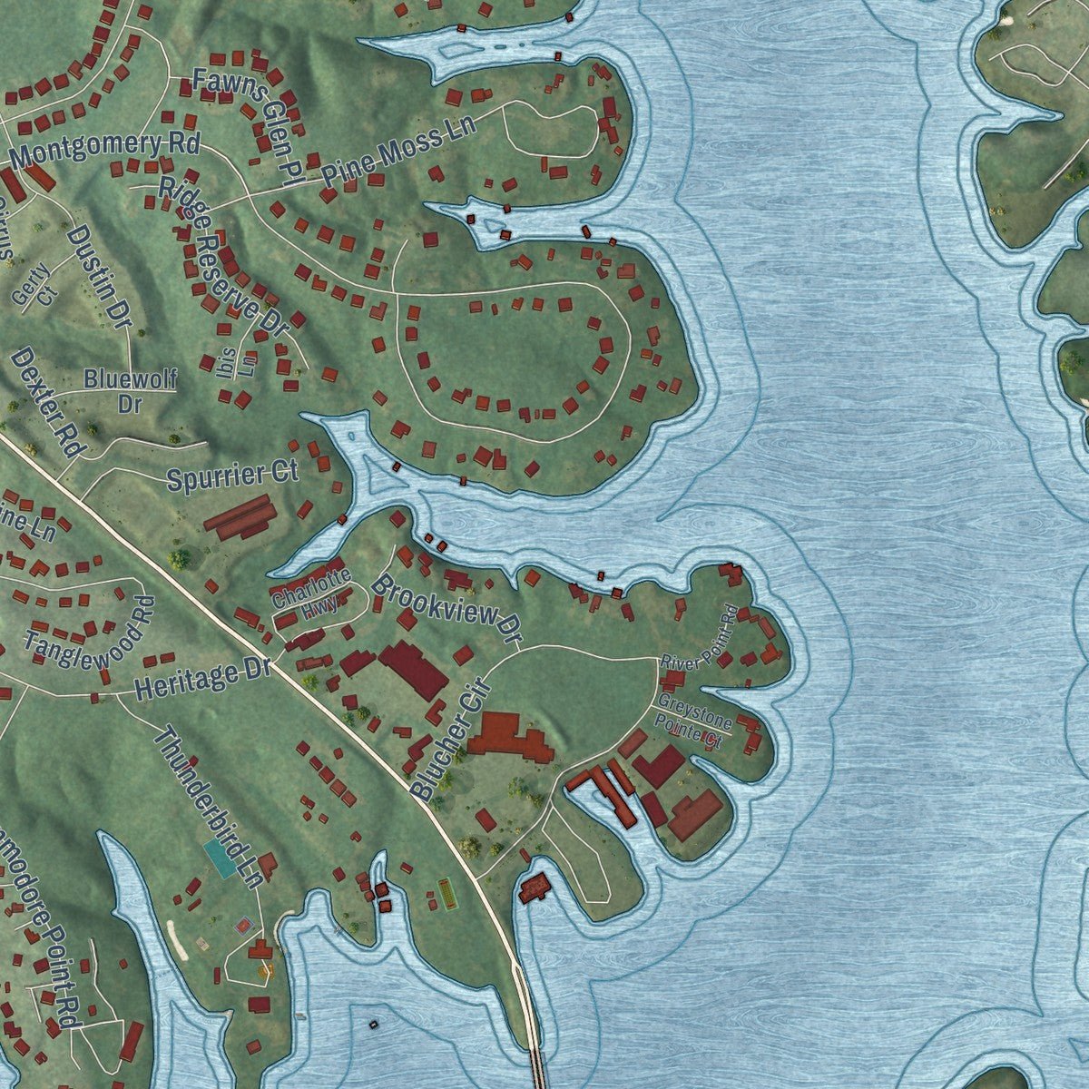 Second close-up of the map of Lake Wylie, South Carolina print showing more streets and buildings