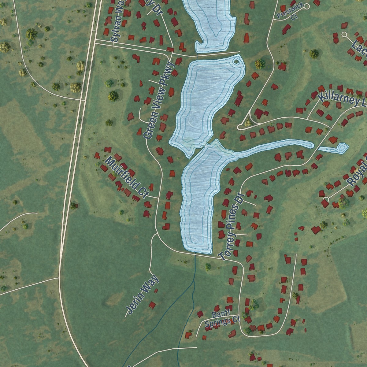 Second close-up of the map of Lakewood, South Carolina print showing more streets and buildings