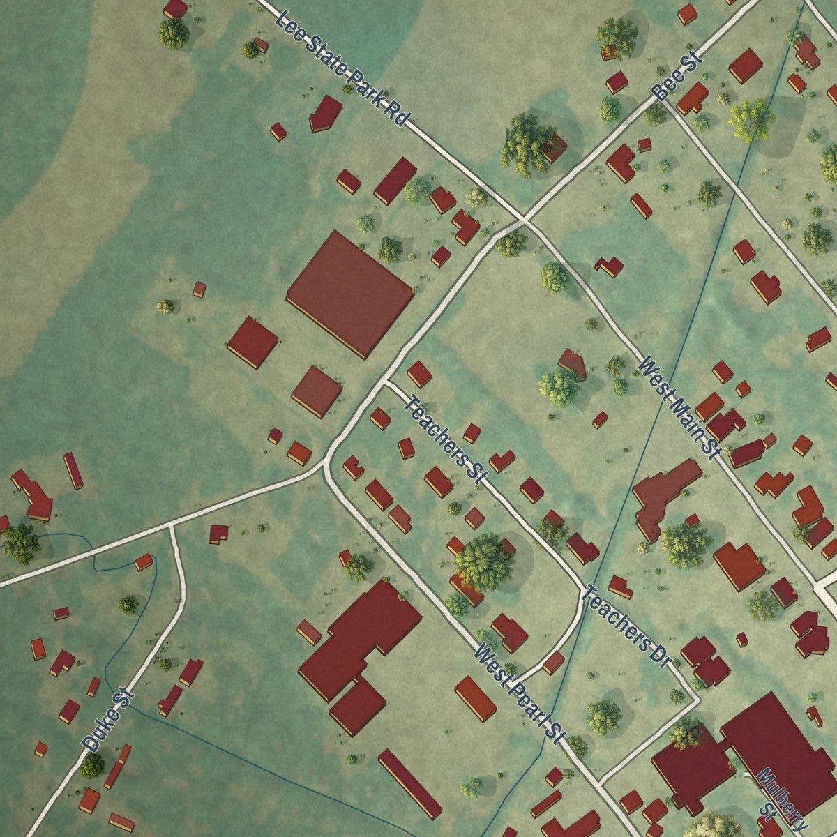Second close-up of the map of Lamar, South Carolina print showing more streets and buildings