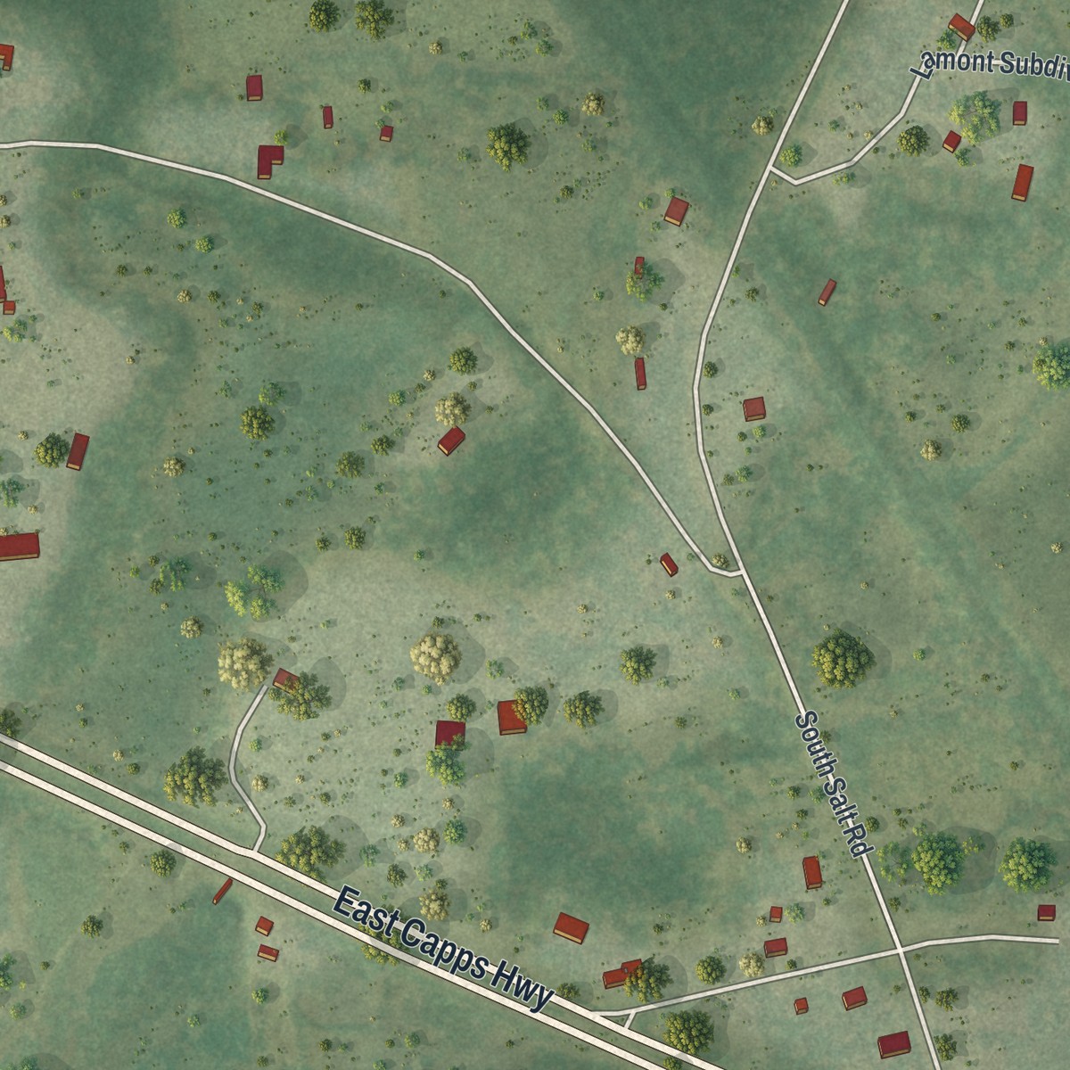 Second close-up of the map of Lamont, Florida print showing more streets and buildings