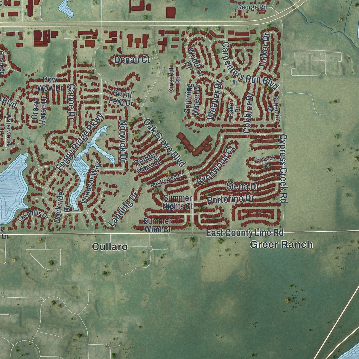 Second close-up of the map of Land O' Lakes, Florida print showing more streets and buildings