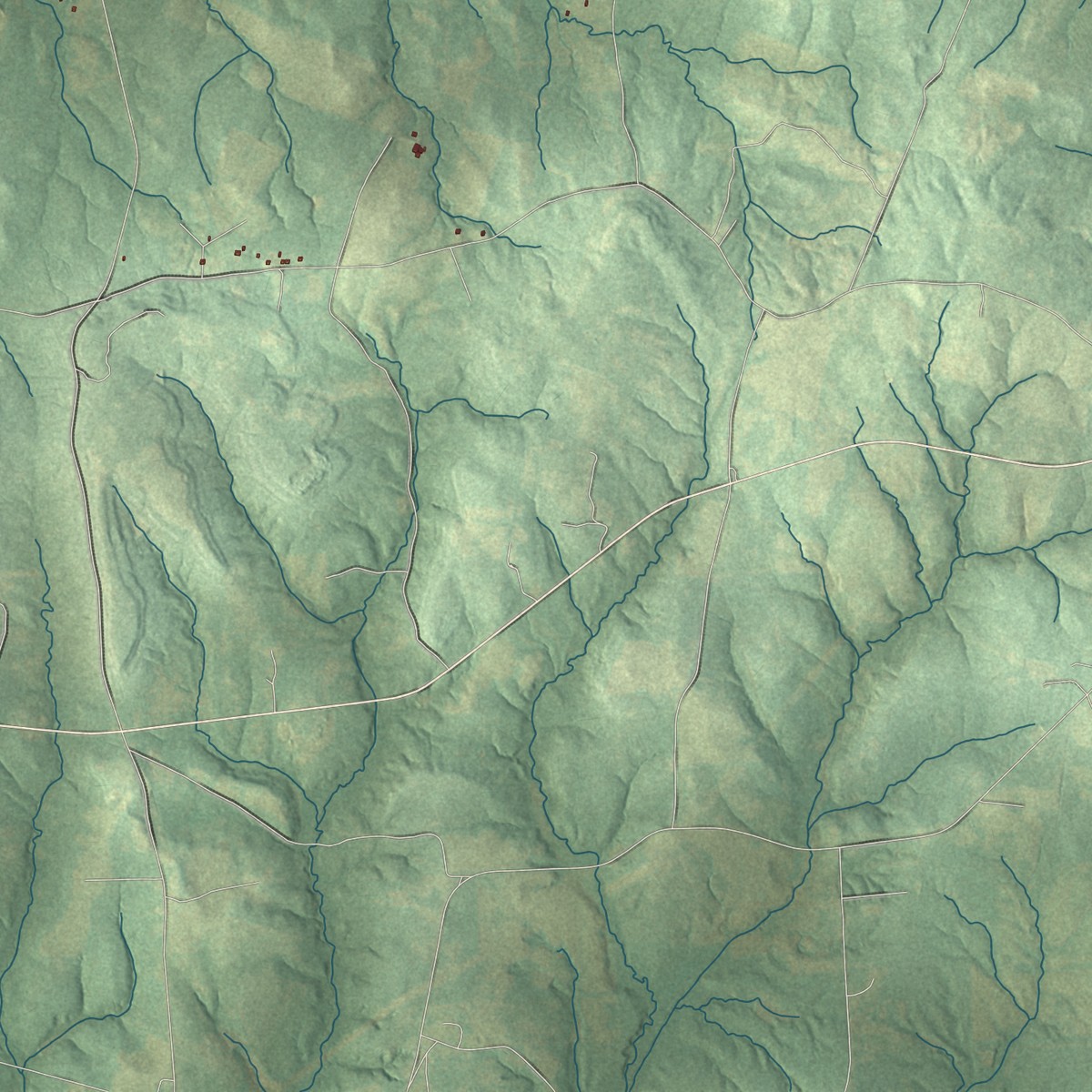 Second close-up of the map of Laneville, Texas print showing more streets and buildings
