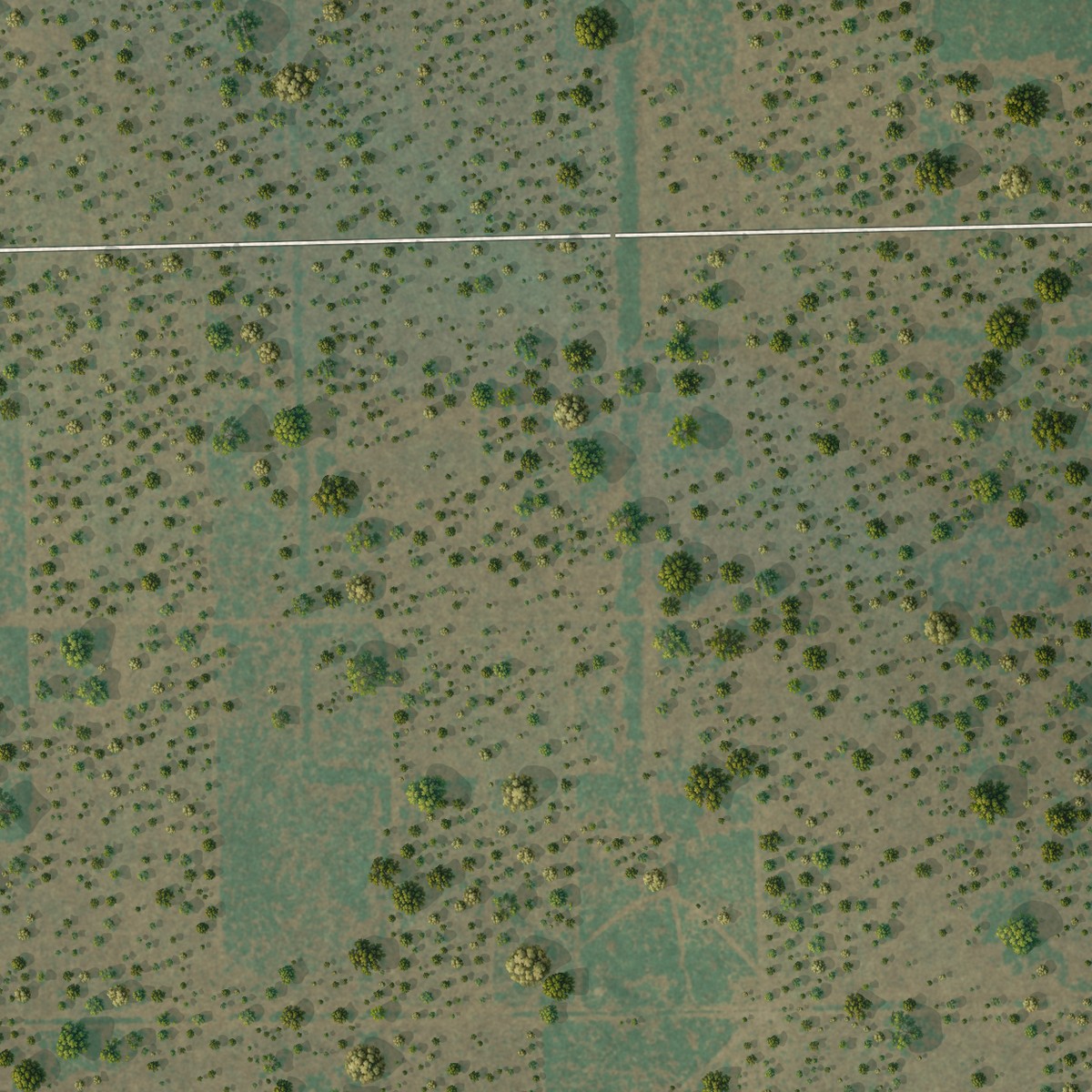 Second close-up of the map of Las Lomitas, Texas print showing more streets and buildings
